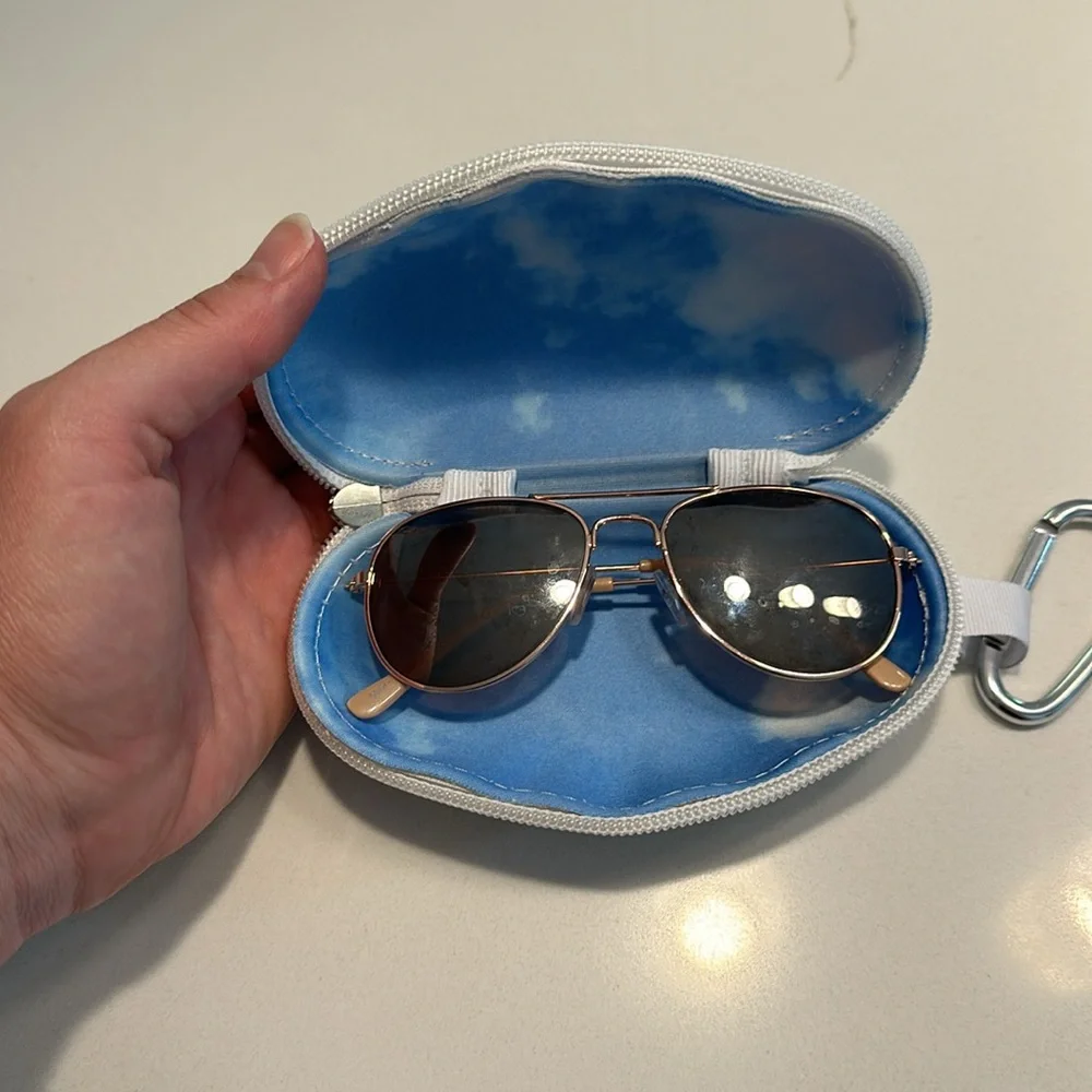 Babiators awesome cloud case zippered hard sunglasses case